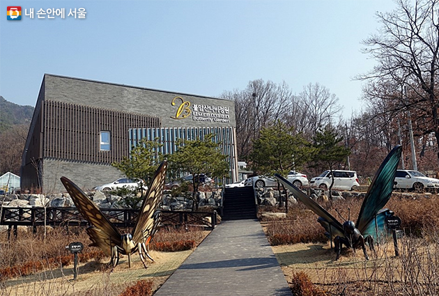 나풀거리는 날갯짓에 봄이 스민다! 불암산 나비정원