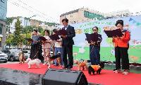 홍제폭포광장서 '서대문 펫 동행 페스티벌' 개최… 주민 약 600명 참여